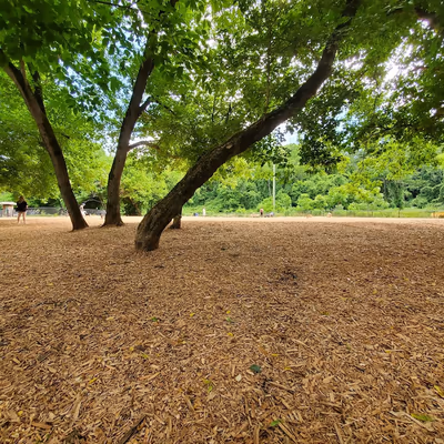 French Broad River Dog Park photo 1